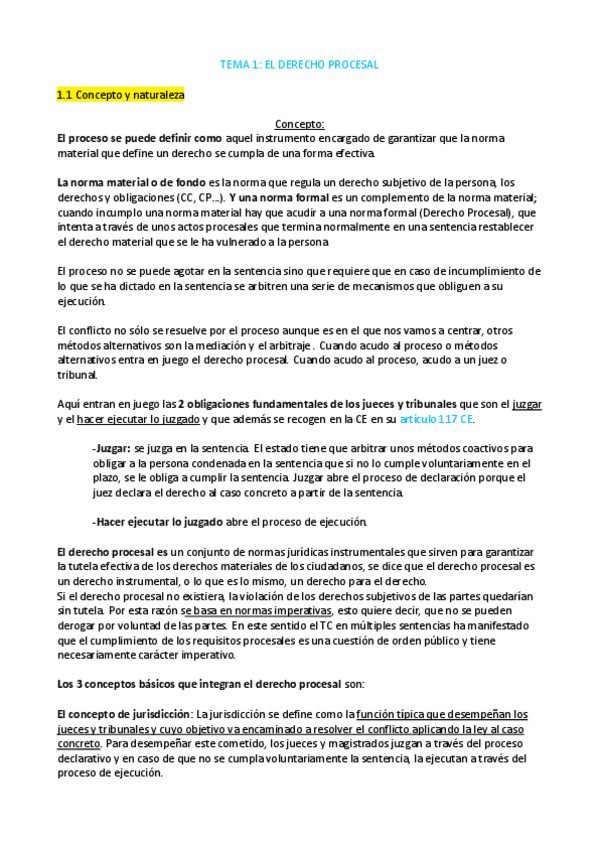 Miniatura del documento Tema-1-COMPLETO-PDF-El-derecho-procesal.pdf