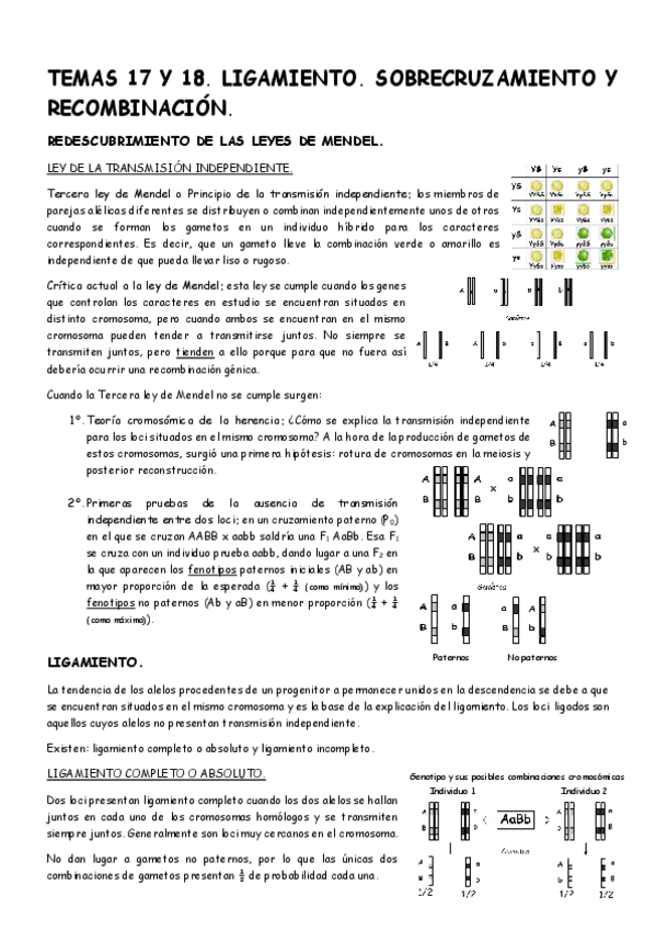 Miniatura del documento Temas-17-y-18-Genetica.pdf