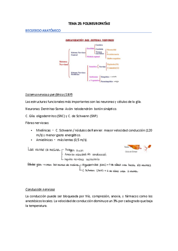 Miniatura del documento TEMA-25-FESC-II.pdf