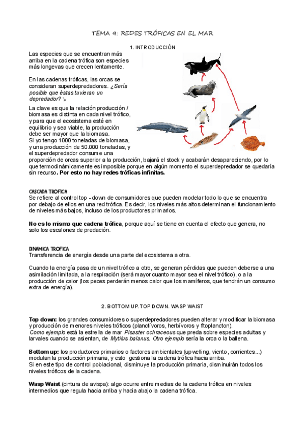 Miniatura del documento T9_Redes Tróficas.pdf