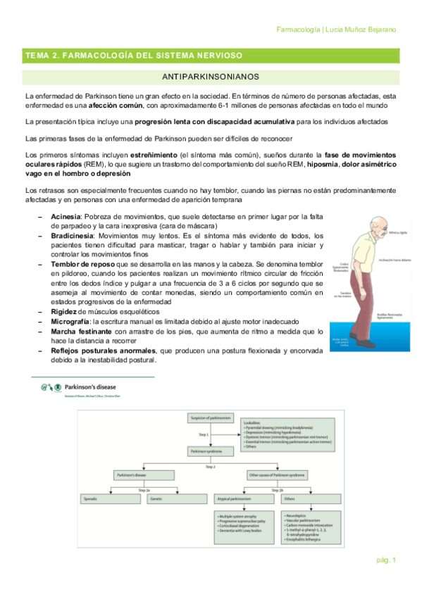 Miniatura del documento TEMA-2.pdf