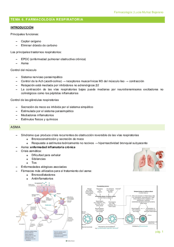 Miniatura del documento TEMA-6.pdf