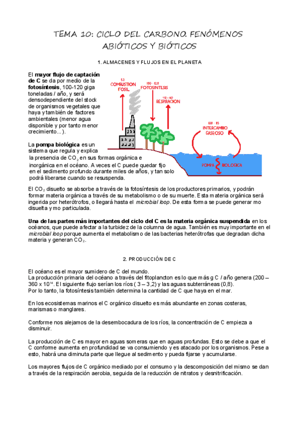 Miniatura del documento T10_Ciclo del carbono.pdf
