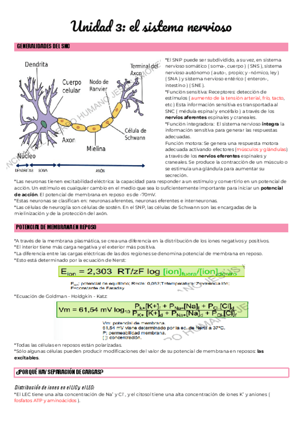 Miniatura del documento Unidad-3-el-sistema-nervioso.pdf
