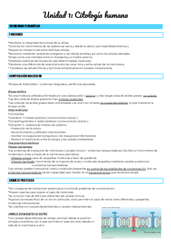 Miniatura del documento Unidad-1-Citologia-humana.pdf