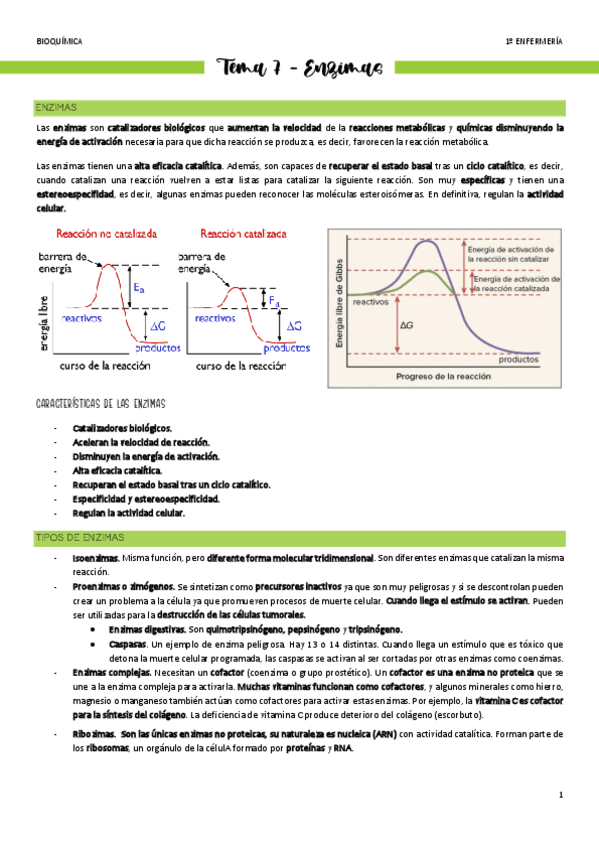 Miniatura del documento Tema-7-Enzimas.pdf