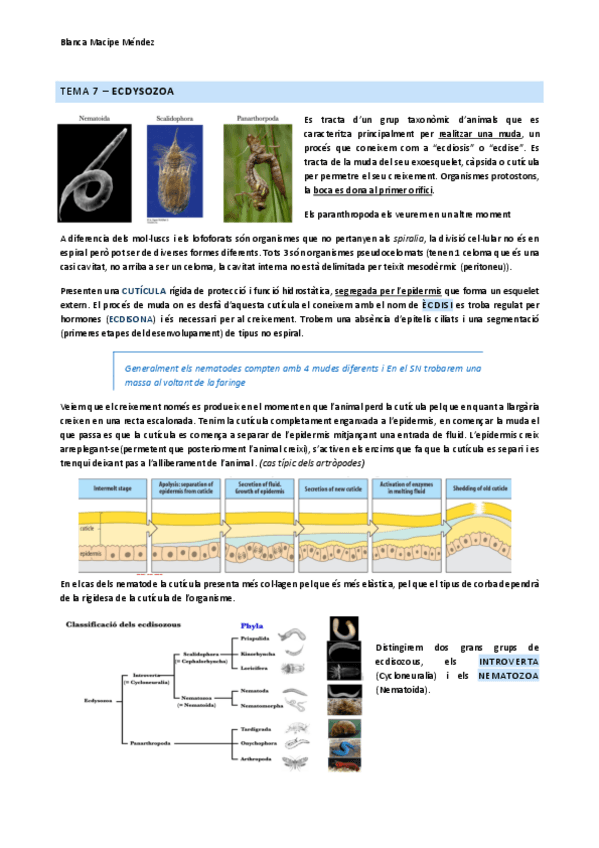 Miniatura del documento TEMA-7.2-ECDISOZOUS.pdf