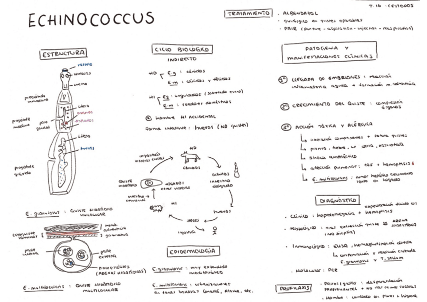 Miniatura del documento Tema-16.pdf