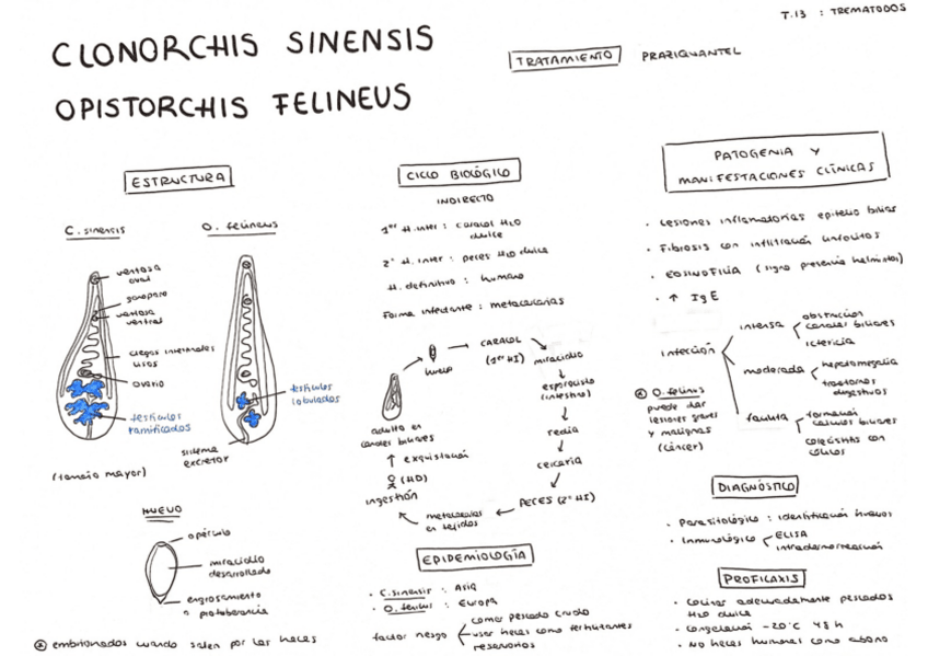 Miniatura del documento Tema-13.pdf