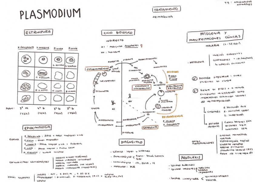 Miniatura del documento Tema-9.pdf