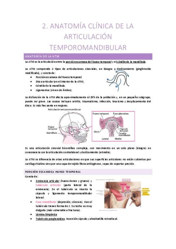 Miniatura del documento Tema-2-MCC.pdf