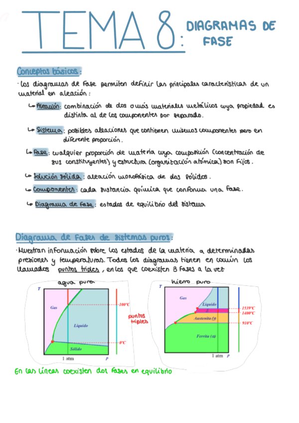 Miniatura del documento T8-Diagmas-de-fase.pdf