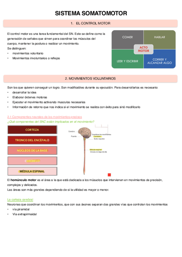 Miniatura del documento Sistema-Somatomotor.pdf
