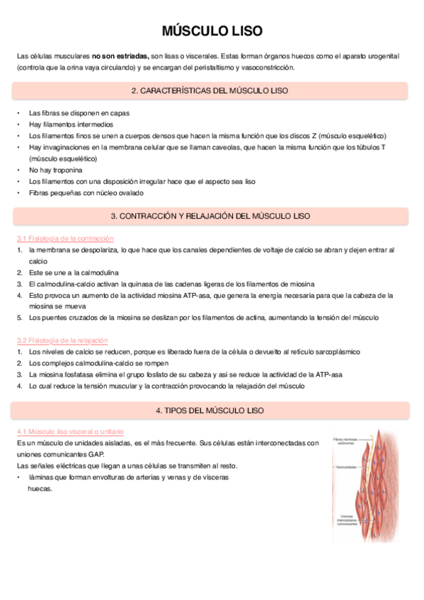 Miniatura del documento Musculo-Liso.pdf
