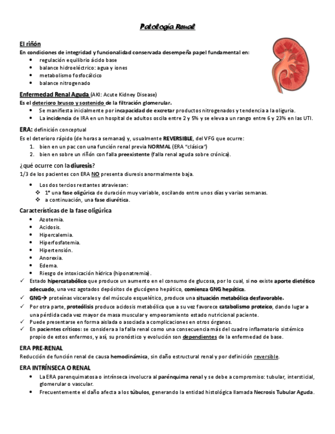 Miniatura del documento Patologia-Renal.pdf