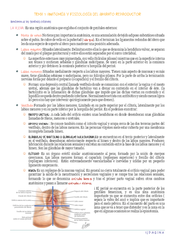 Miniatura del documento MATERNO-COMPLETO.pdf