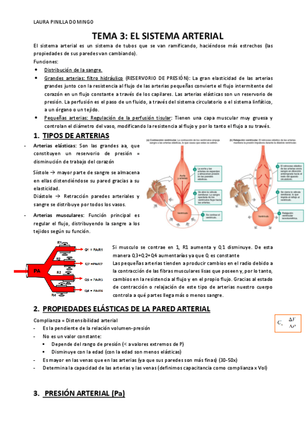 Miniatura del documento Tema-3-Fisiologia-bloque-2.pdf