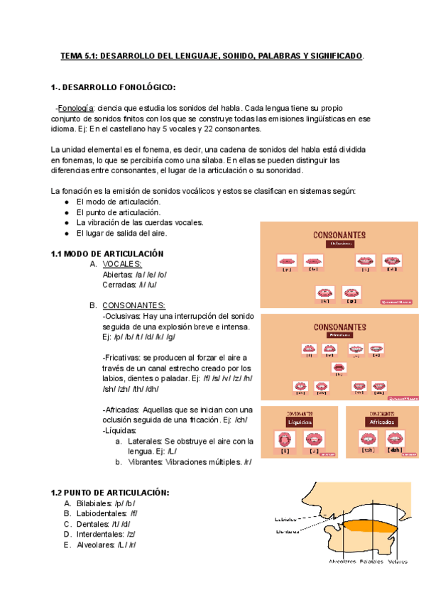 Miniatura del documento TEMA-5-DESARROLLO-DEL-LENGUAJE-SONIDO-PALABRAS-Y-SIGNIFICADO.pdf