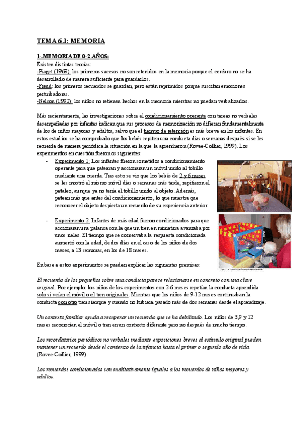 Miniatura del documento TEMA-6-MEMORIA-Y-ATENCION.pdf