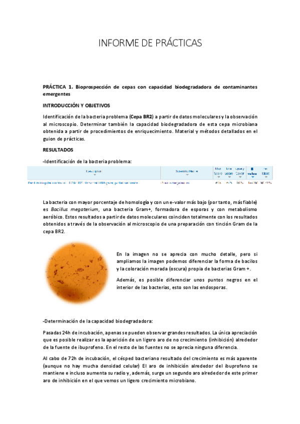 Miniatura del documento INFORME-DE-PRACTICAS.pdf