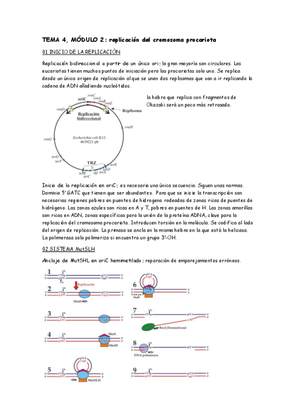 Miniatura del documento MT4-M2.pdf