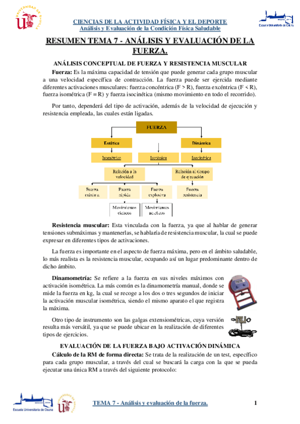 Miniatura del documento RESUMEN-TEMA-7-Analisis-y-evaluacion-de-la-fuerza..pdf