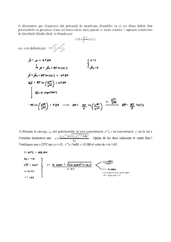 Miniatura del documento informe-practica-1B-BiT.pdf