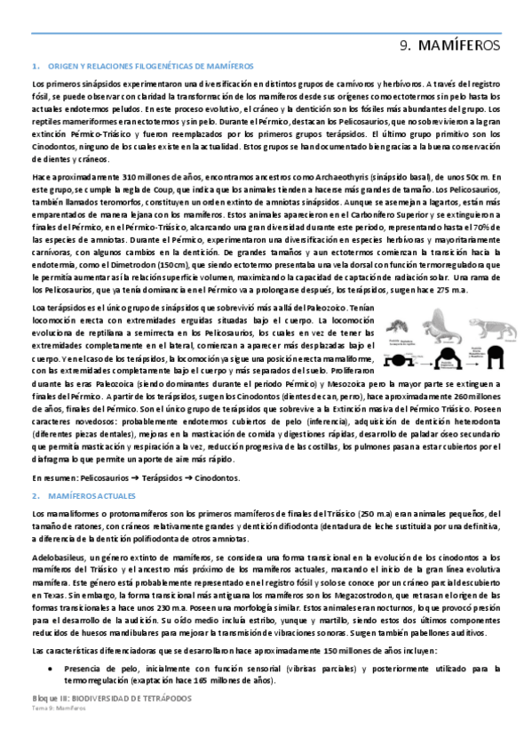 Miniatura del documento Tema-9-MAMIFEROS.pdf