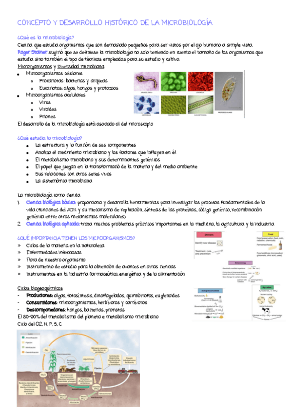 Miniatura del documento t1.pdf