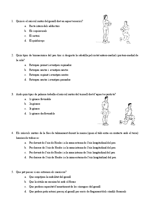 Miniatura del documento Preguntes-3r-Parcial-Anatomia.pdf