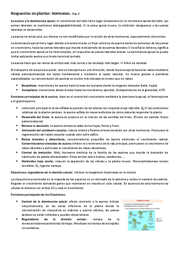 Miniatura del documento Tema-25-hormonas-en-plantas.pdf