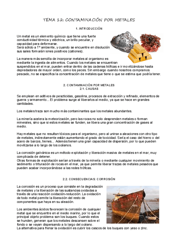 Miniatura del documento T12_Contaminación por metales.pdf
