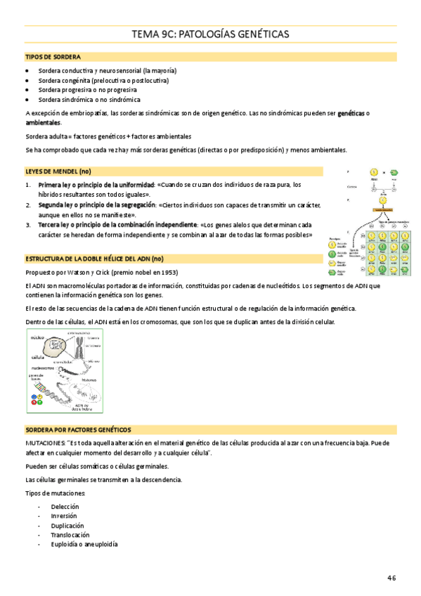 Miniatura del documento TEMA-9C-Patologias-geneticas.pdf