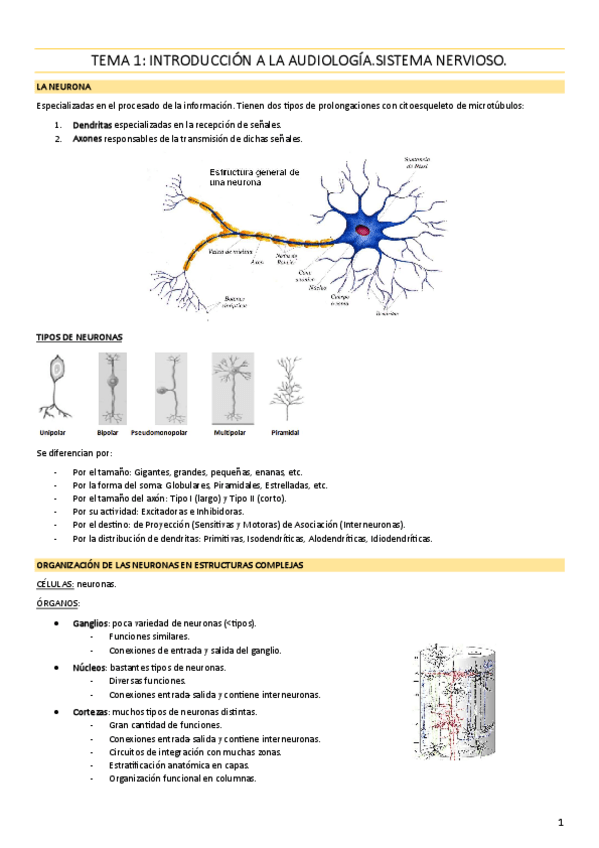 Miniatura del documento TEMA-1-Introduccion-a-la-audiologia.sistema-nervioso.pdf