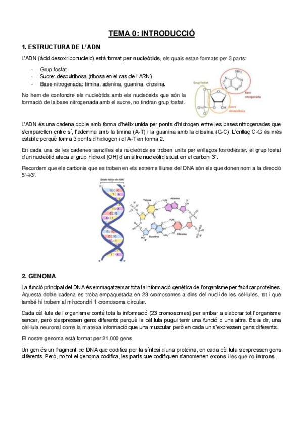 Miniatura del documento TOT-apunts-enginyeria-genetica.pdf