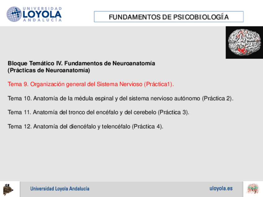 Miniatura del documento PRACTICA 1.pdf