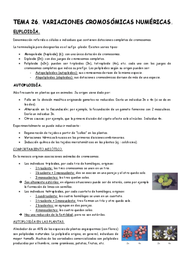 Miniatura del documento Tema-26-Genetica.pdf