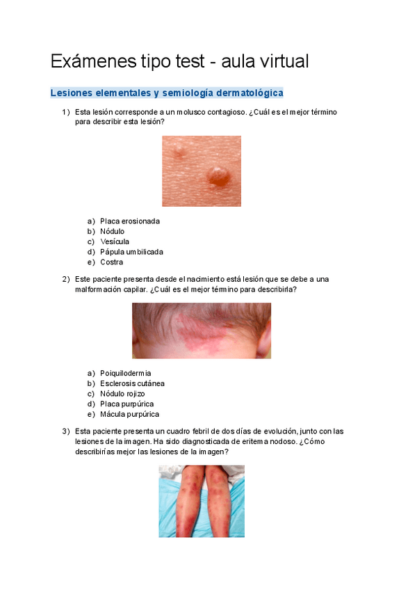 Miniatura del documento Tests-aula-virtual-dermatologia.pdf