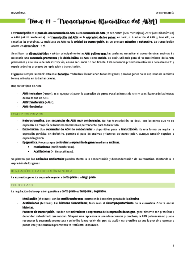 Miniatura del documento Tema-11-Transcripcion.pdf