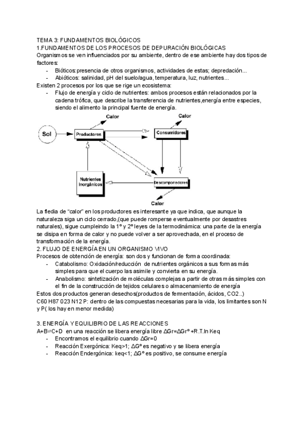 Miniatura del documento TEMAS-3FUNDAMENTOS-BIOLOGICOS.pdf