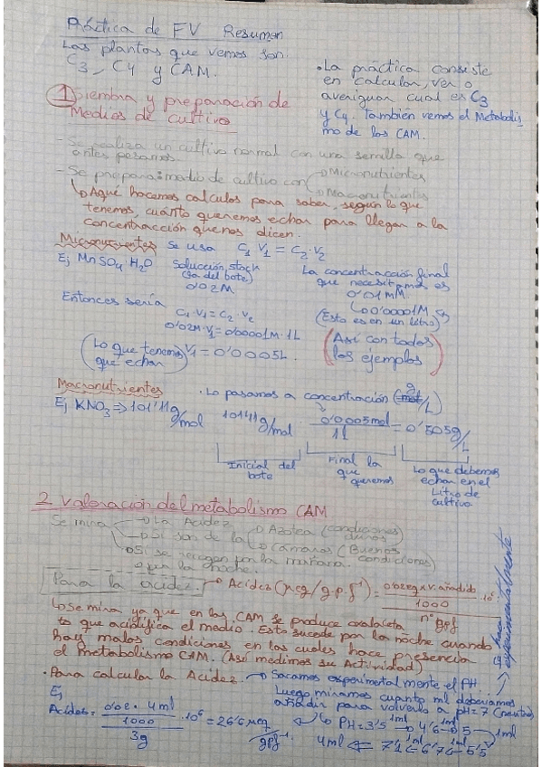 Miniatura del documento practicas-de-fv1-resumen-esquemas.pdf