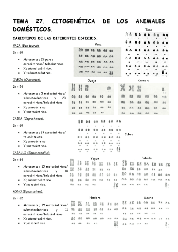 Miniatura del documento Tema-27-Genetica.pdf