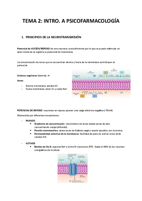 Miniatura del documento TEMA-2.pdf
