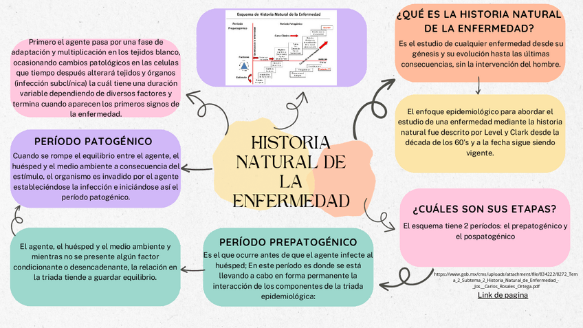 Miniatura del documento Historia-Natural-de-la-Enfermedad.pdf