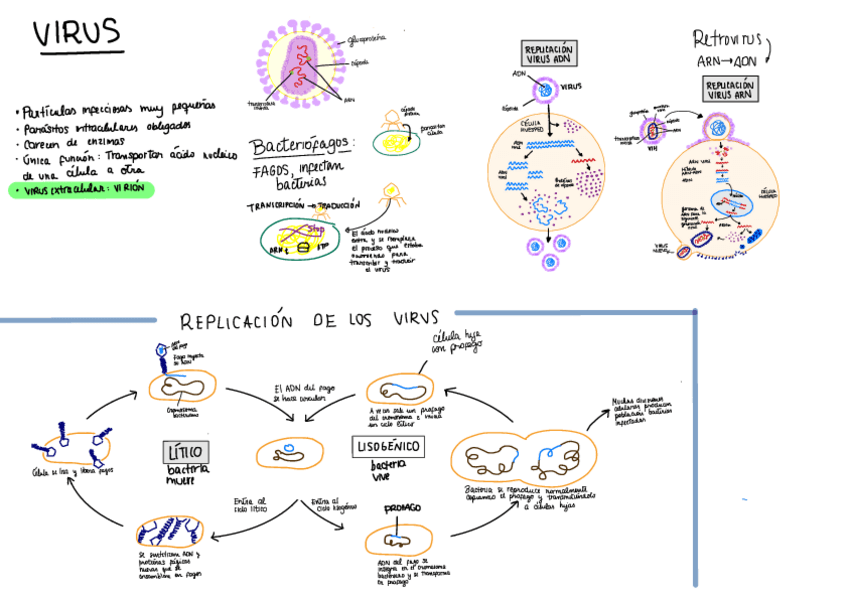 Miniatura del documento VIRUS.pdf