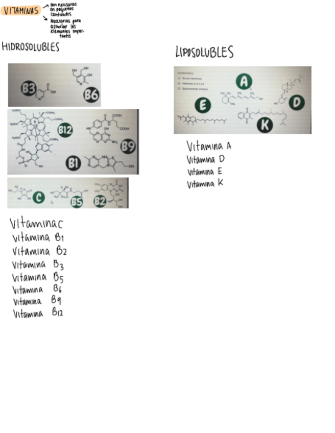 Miniatura del documento VITAMINAS.pdf