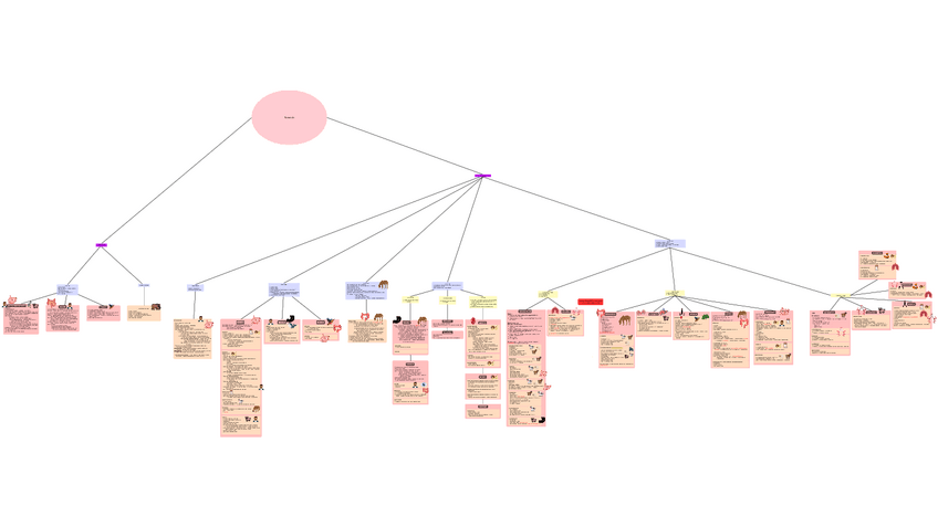 Miniatura del documento tajeta-mental-parasitologia-2-parcial.pdf