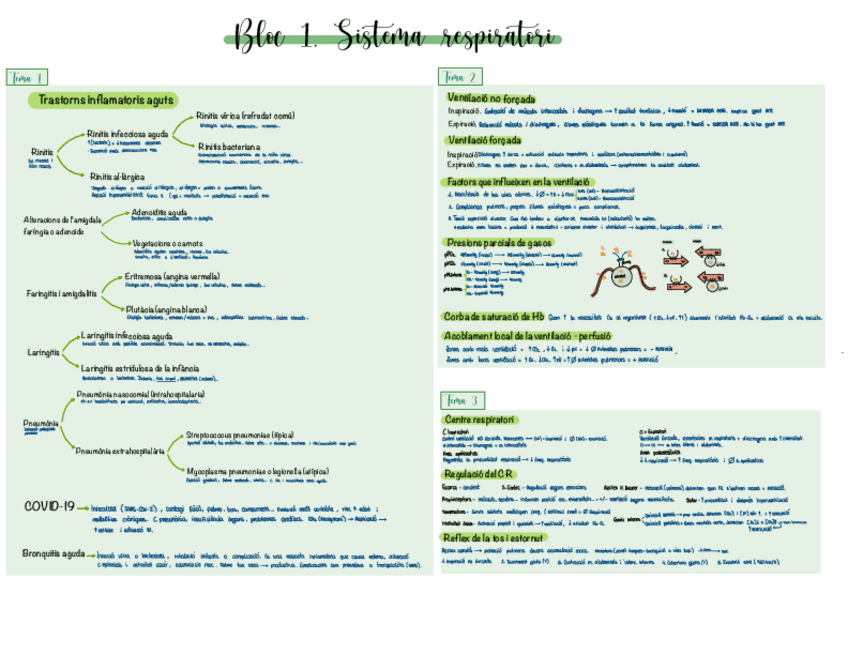 Miniatura del documento Resum-final.pdf