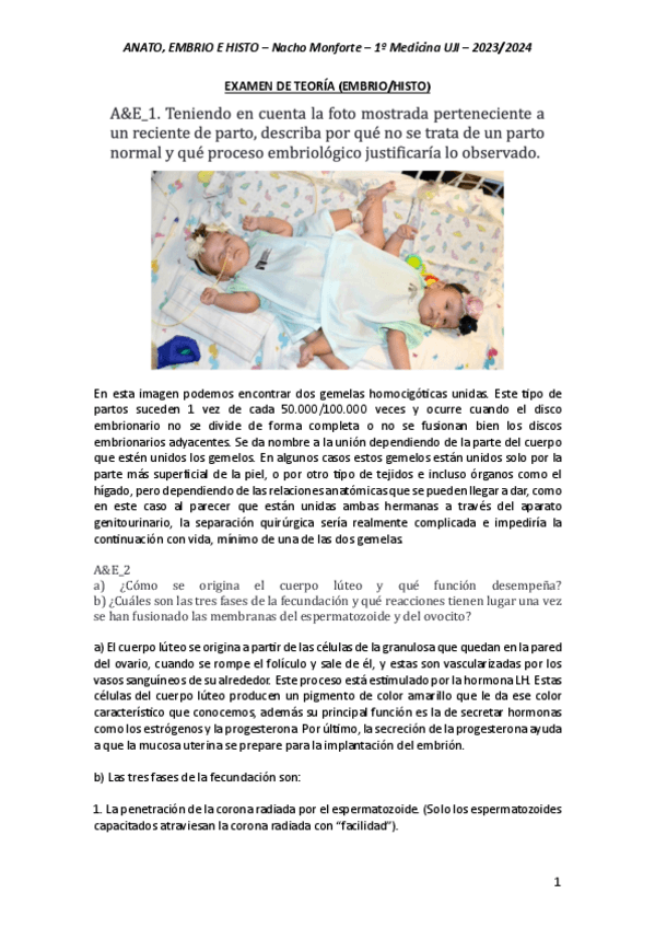 Miniatura del documento POSIBLES-PREGUNTAS-EXAMEN-DE-TEORIA.pdf