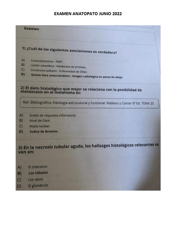 Miniatura del documento 2022.pdf